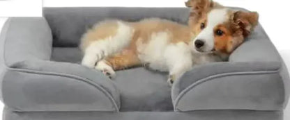 Orthopedic Dog Bed