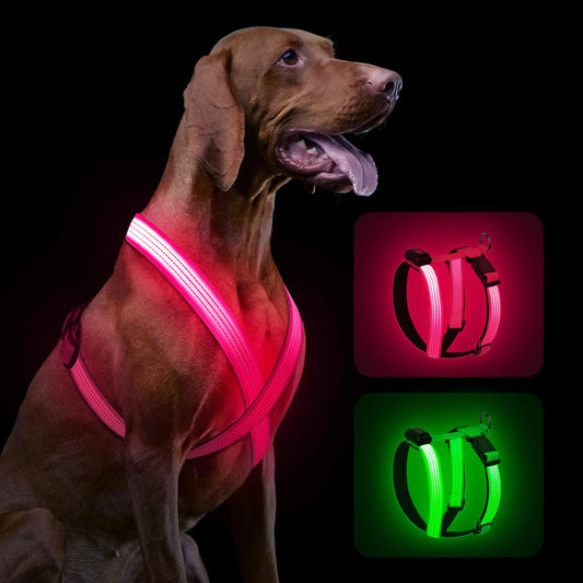 GlowPup LED Dog Harness